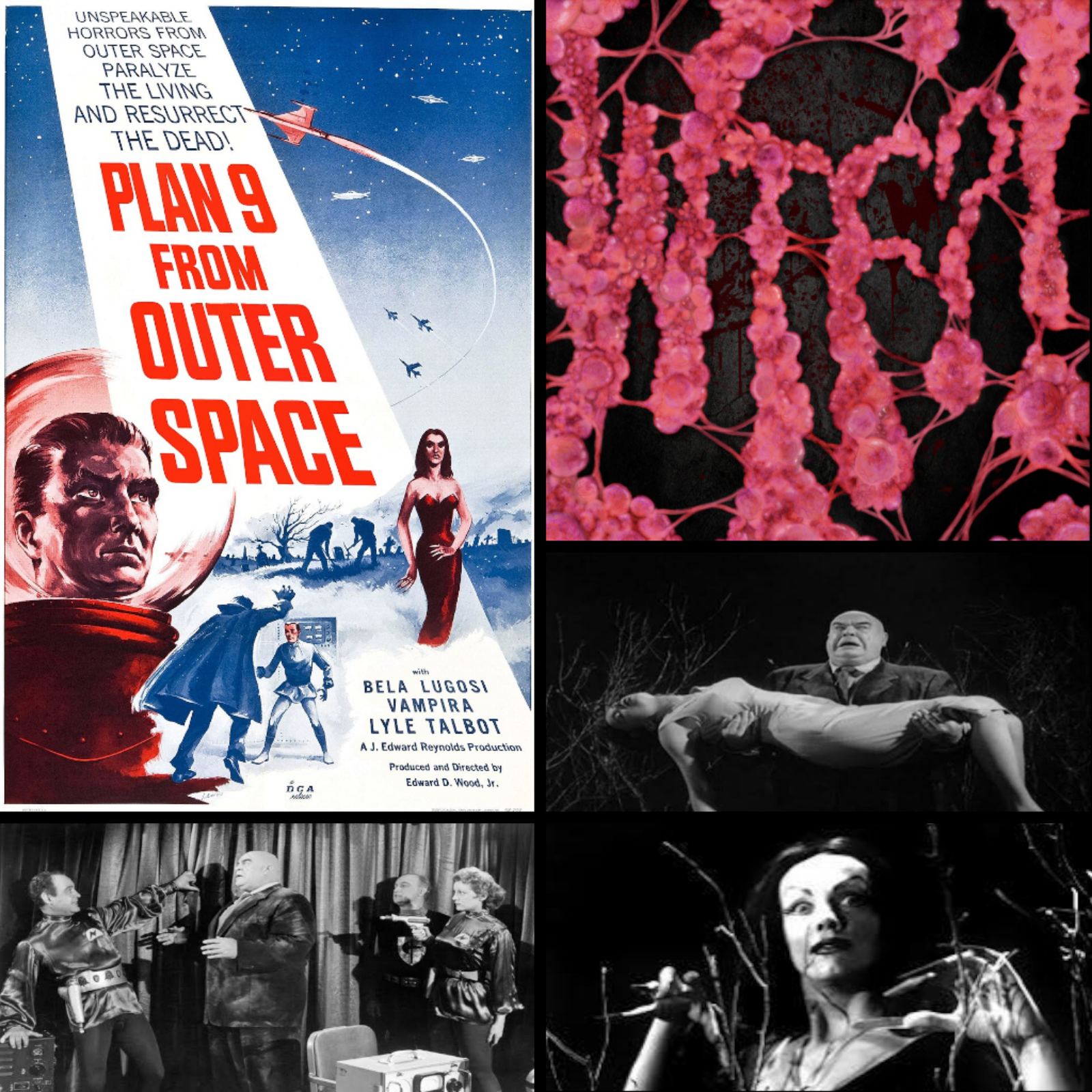 Plan 9 From Outer Space Plan 9 From Outer Space