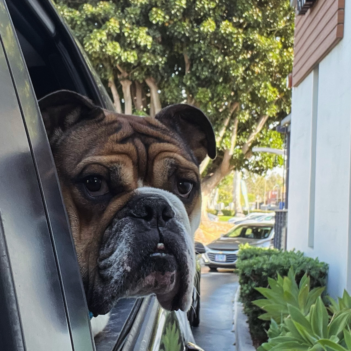 Window down at the car wash?! episode artwork