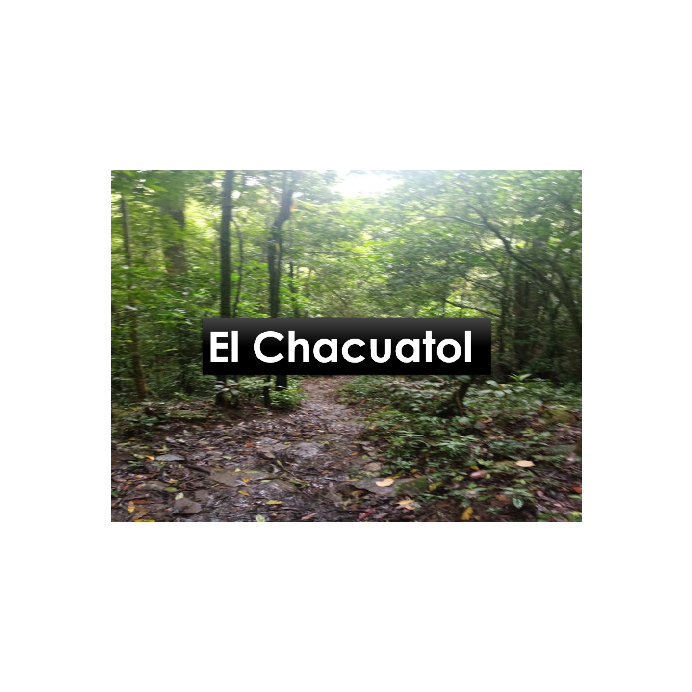 El Chacuatol