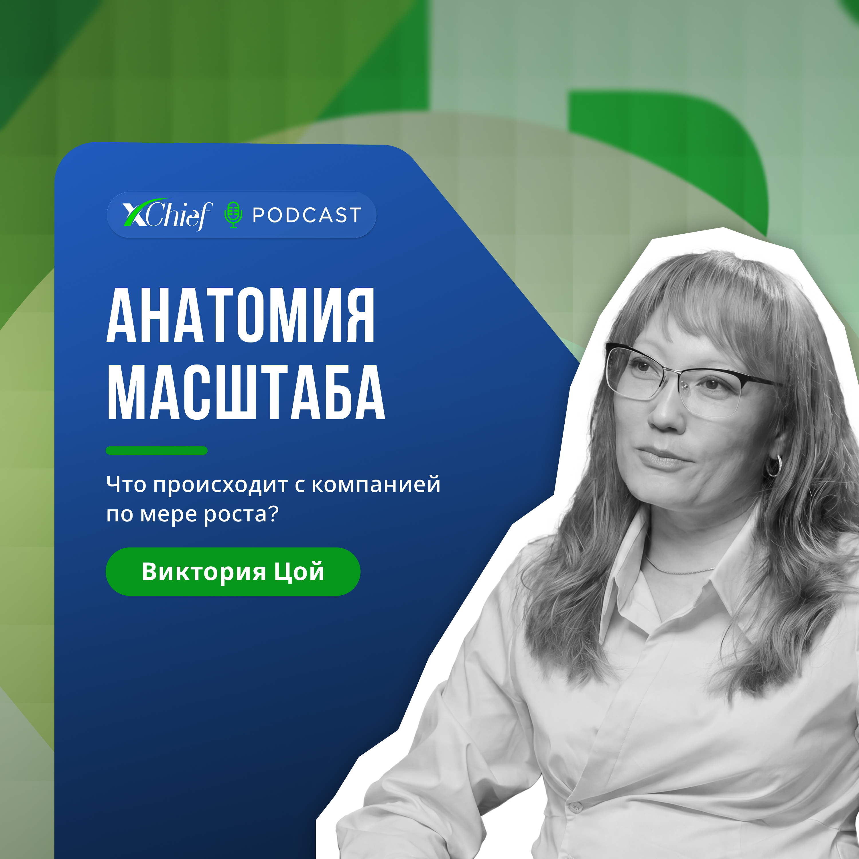 Анатомия масштаба episode artwork
