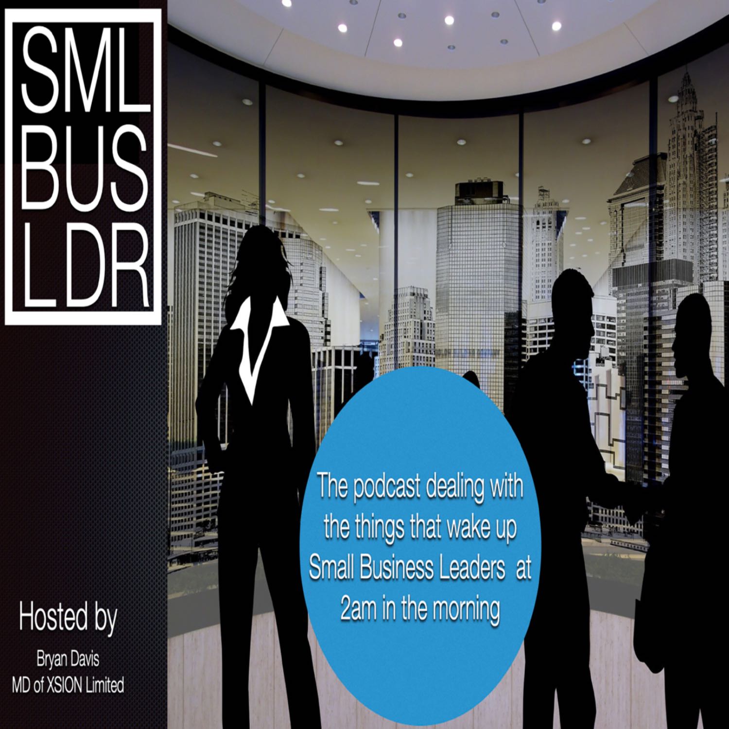 The Small Business Leader's Podcast