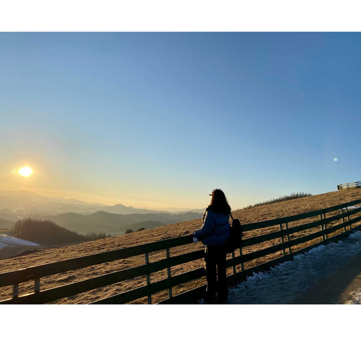 You may not be brilliant, but you are always warm and bright cover