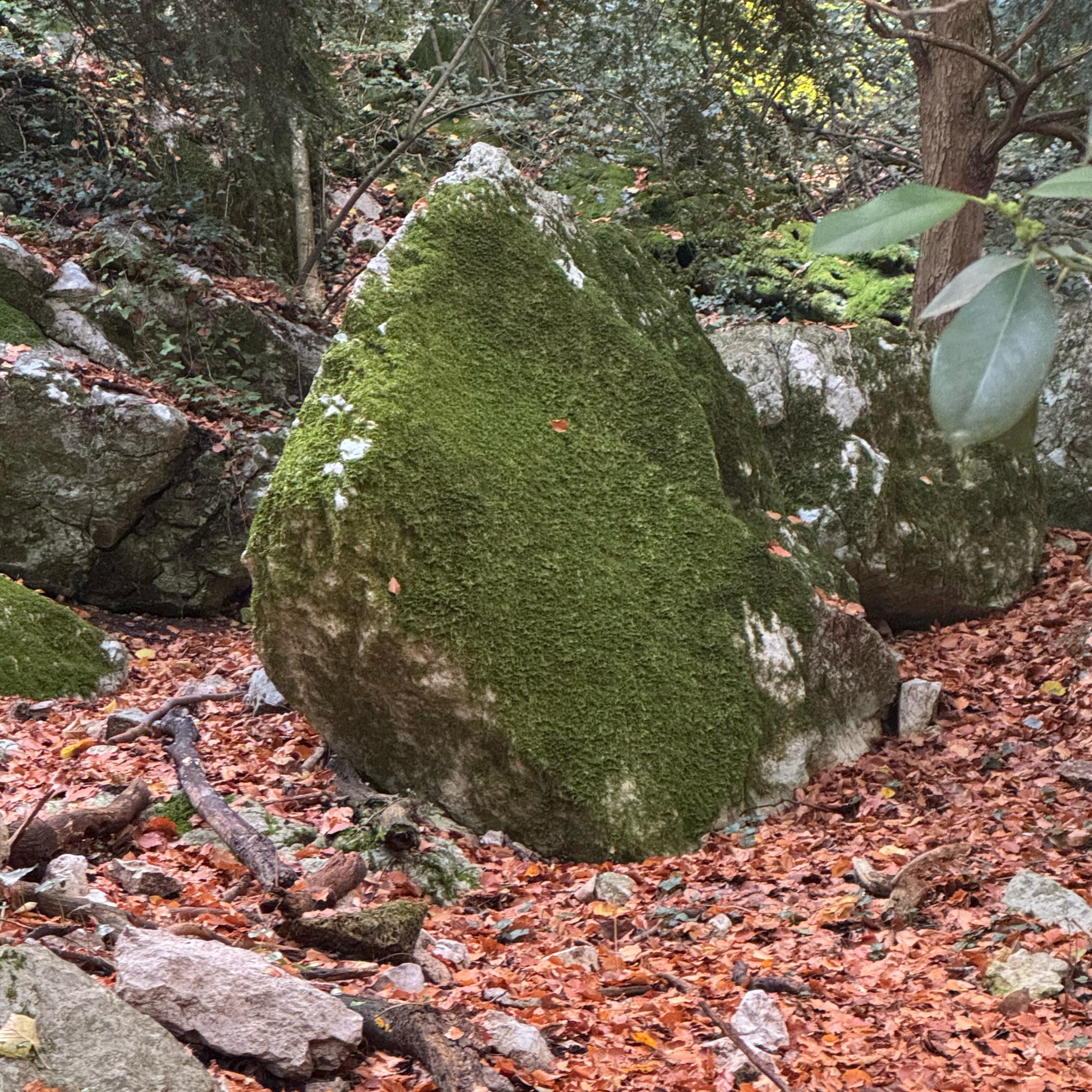  Aramaic Lords Prayer Breathing and Chanting Meditatiion