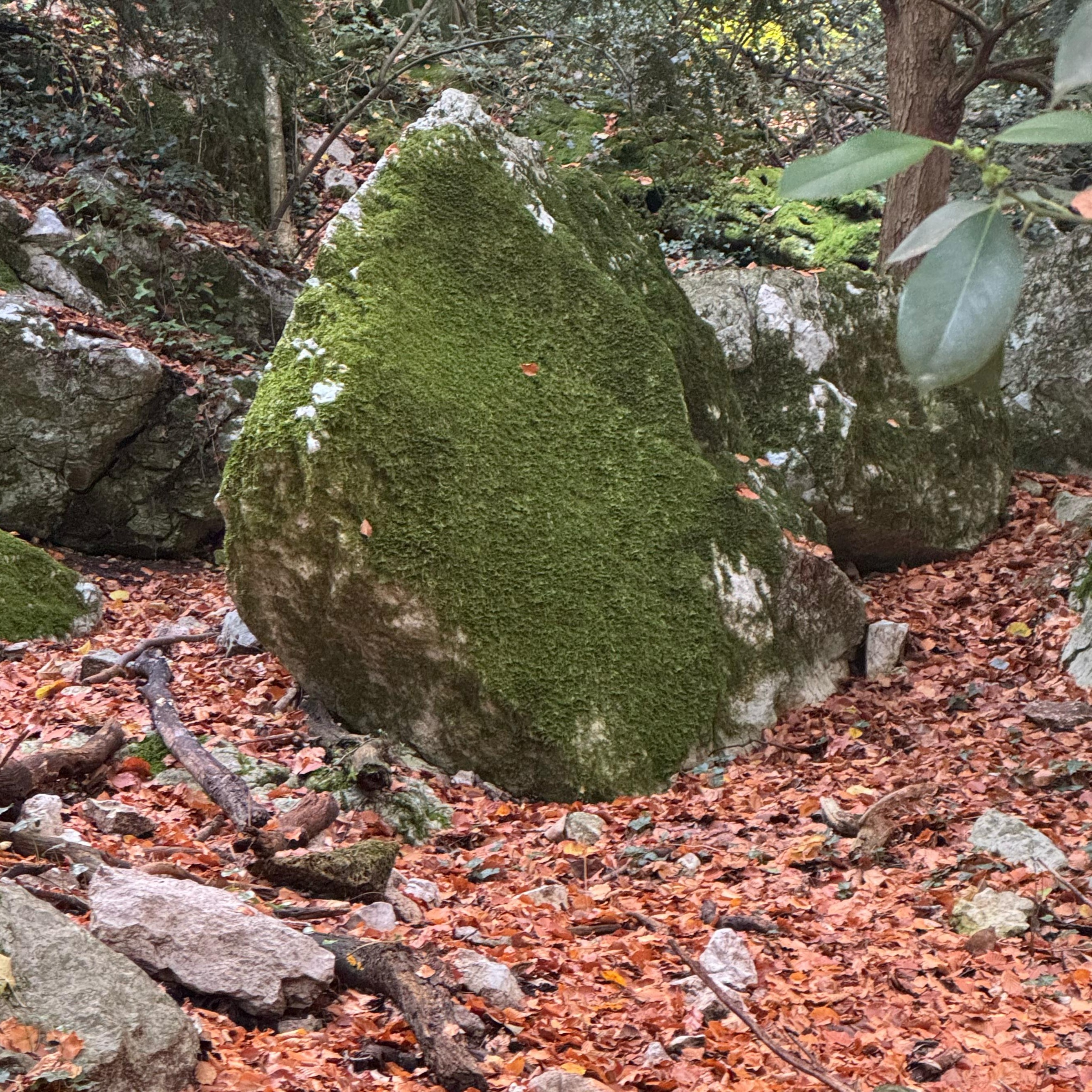 Aramaic Lords Prayer Breathing and Chanting Meditatiion