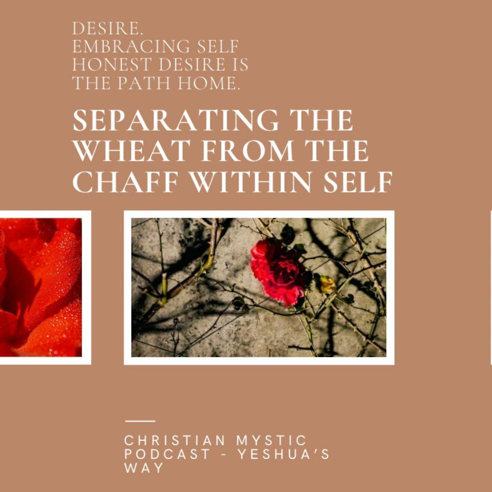 Thank God for Desire: The Way Home