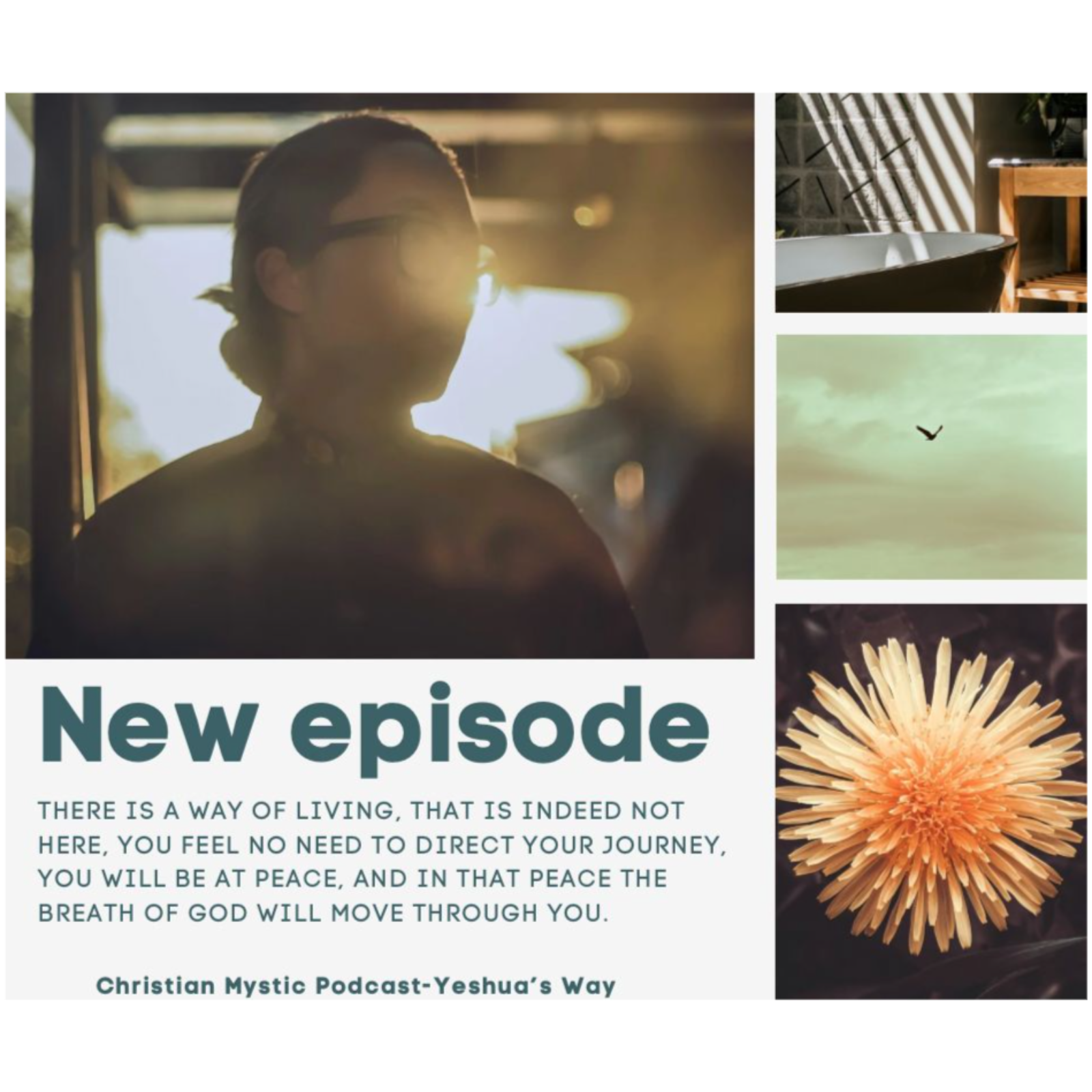 Lesson 5 – Part 2 – Reflections – When Messengers Become the Sand in the Oyster.