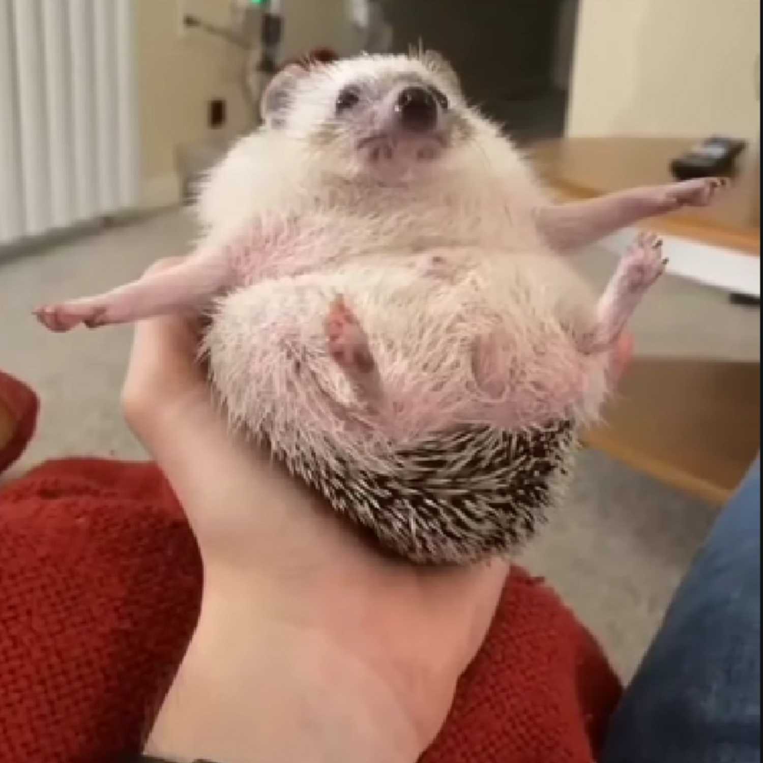 Juice x Em - Real Slim