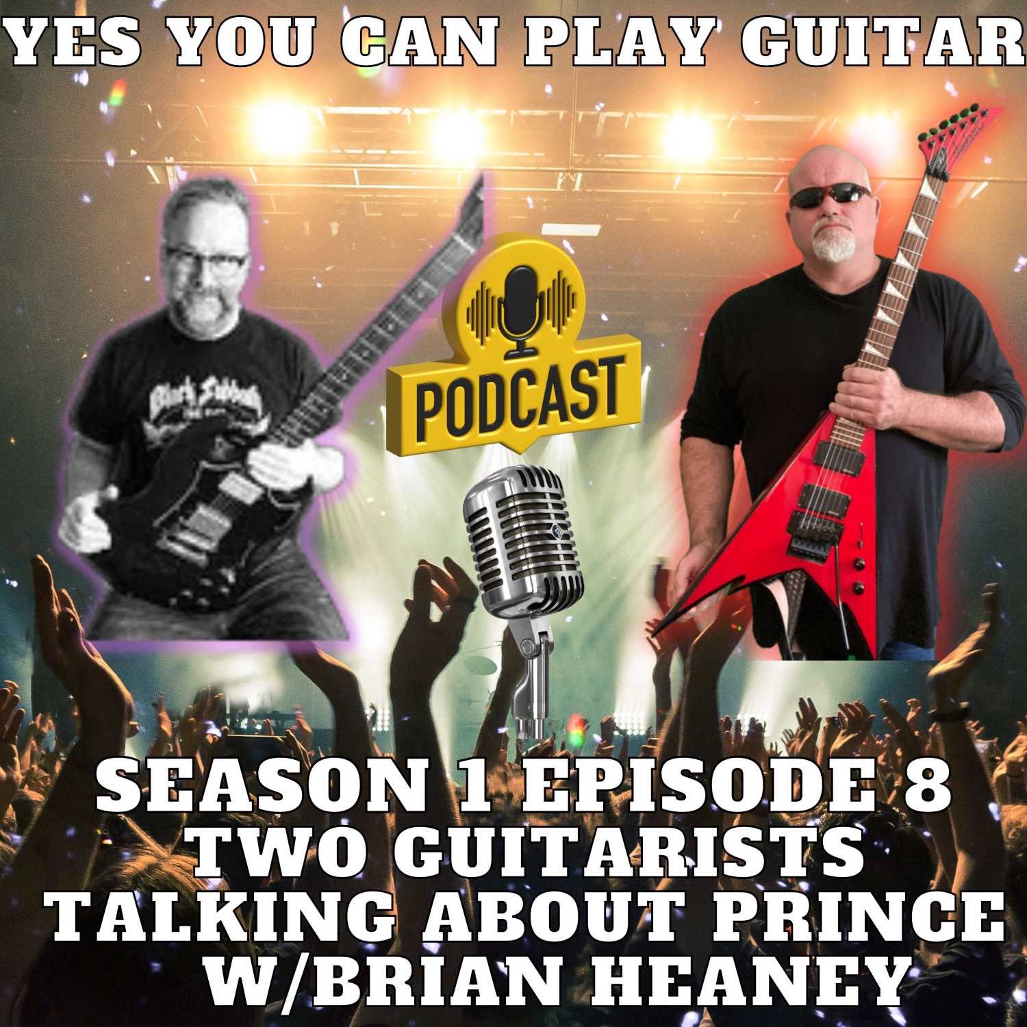 Two Guitarists Talking About Prince