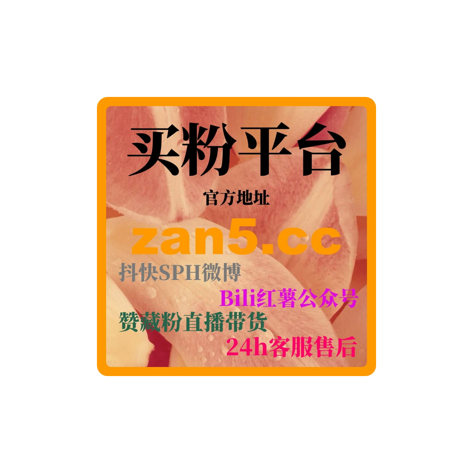 自媒体自助下单网涨粉平台：如何通过微信视频号提升品牌认知度！