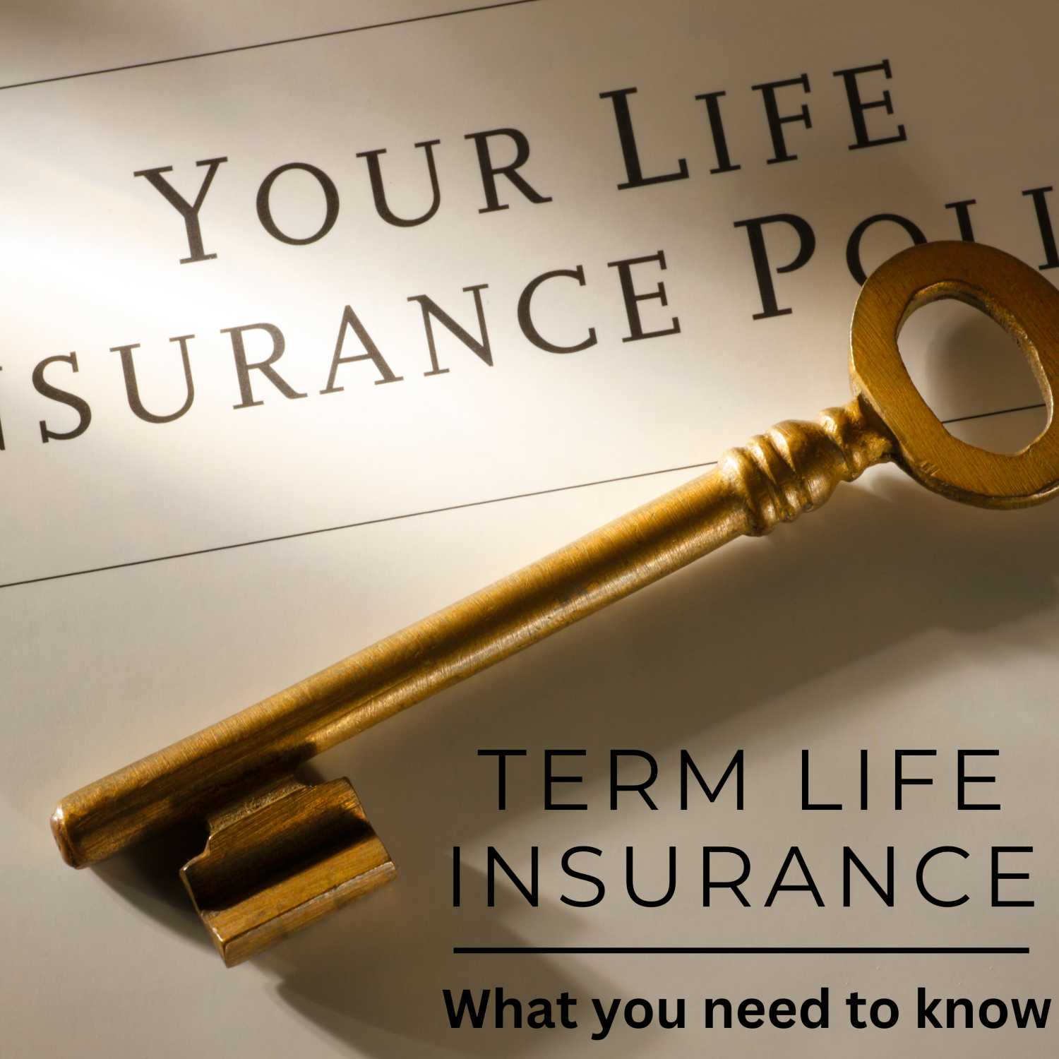 Key Points of Term Life Insurance Key Points of Term Life Insurance