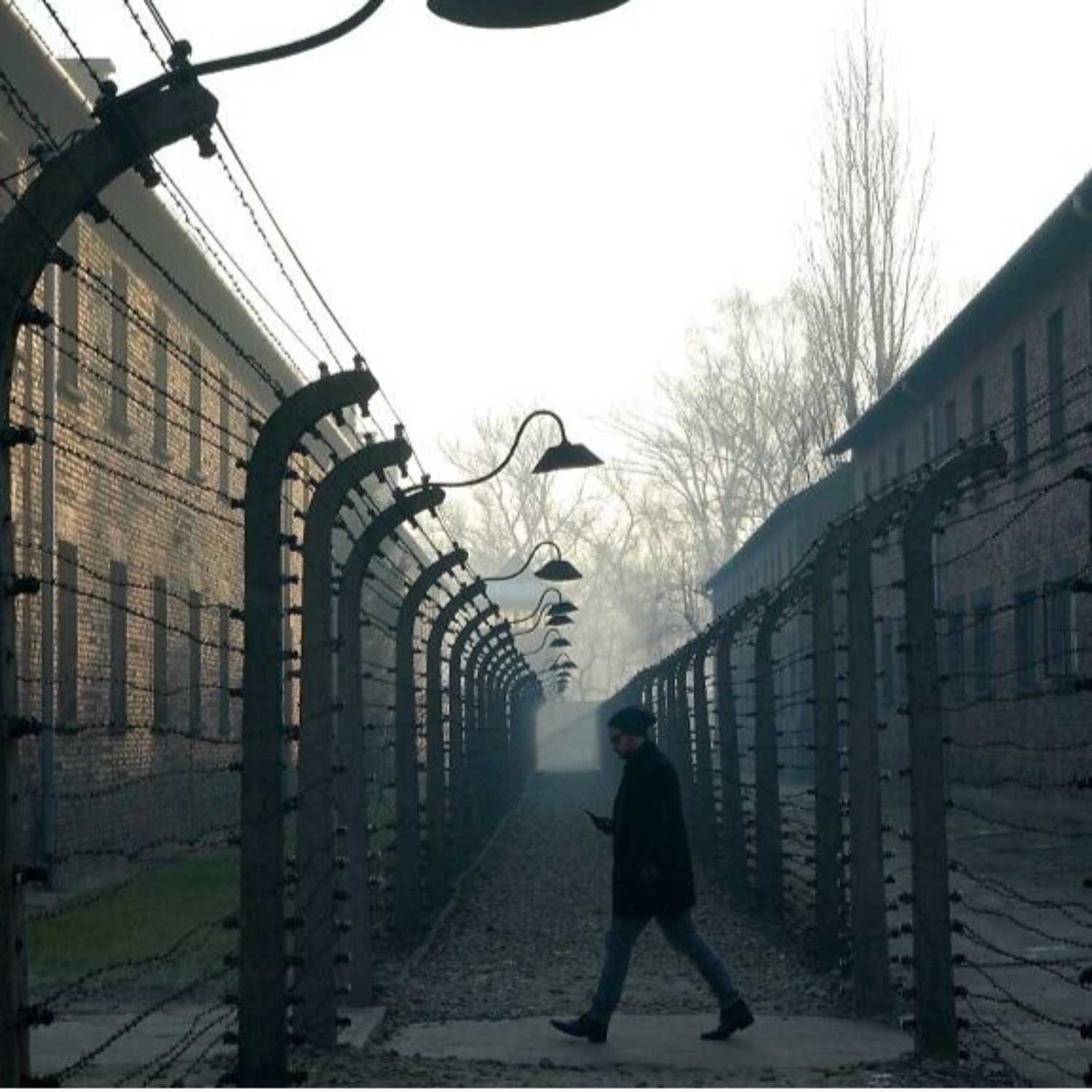 #245 Memorias de Auschwitz | 33 Objetos que Rescatan el Pasado