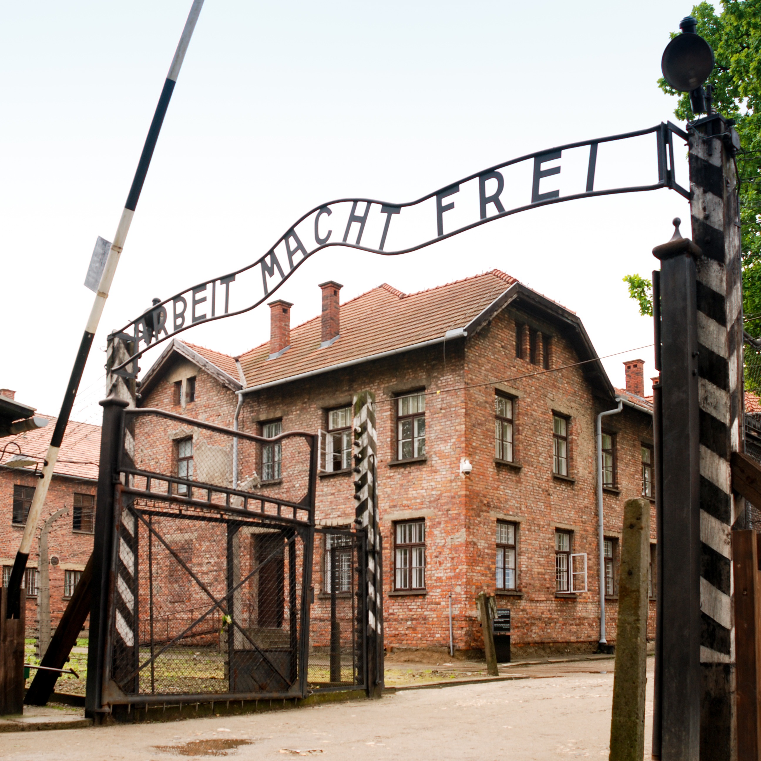 #310 Auschwitz | El horror antes del fin