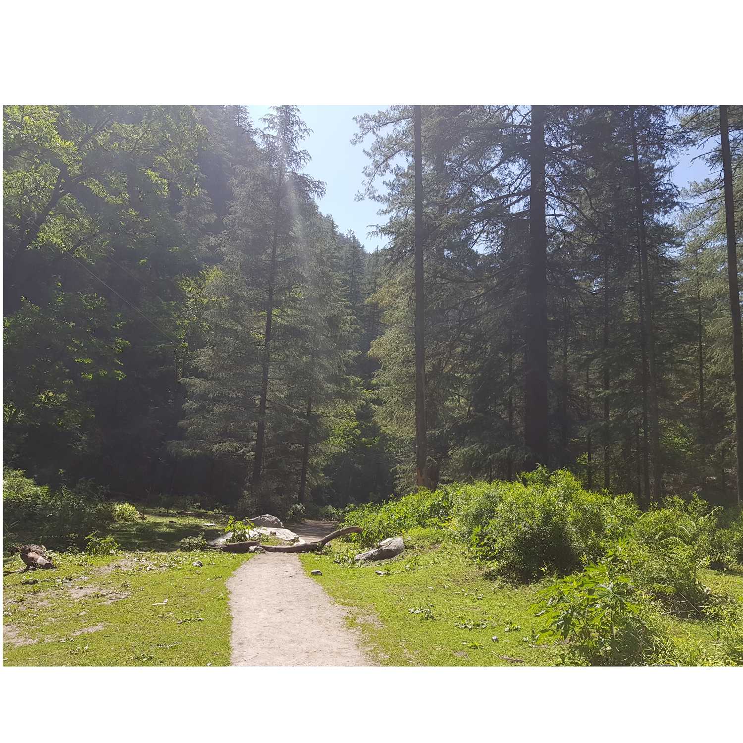 Adventure of the day
