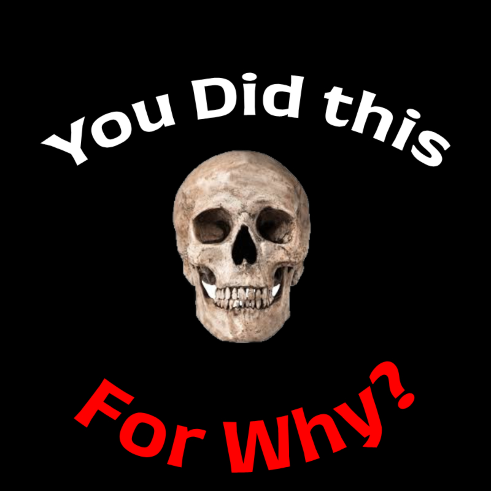 You Did This For Why? cover art