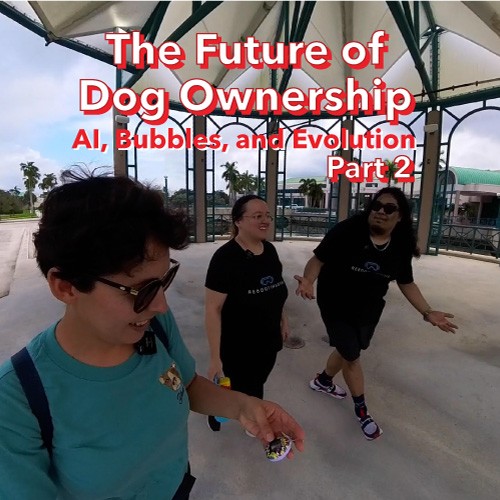 You, Me & the Dogs