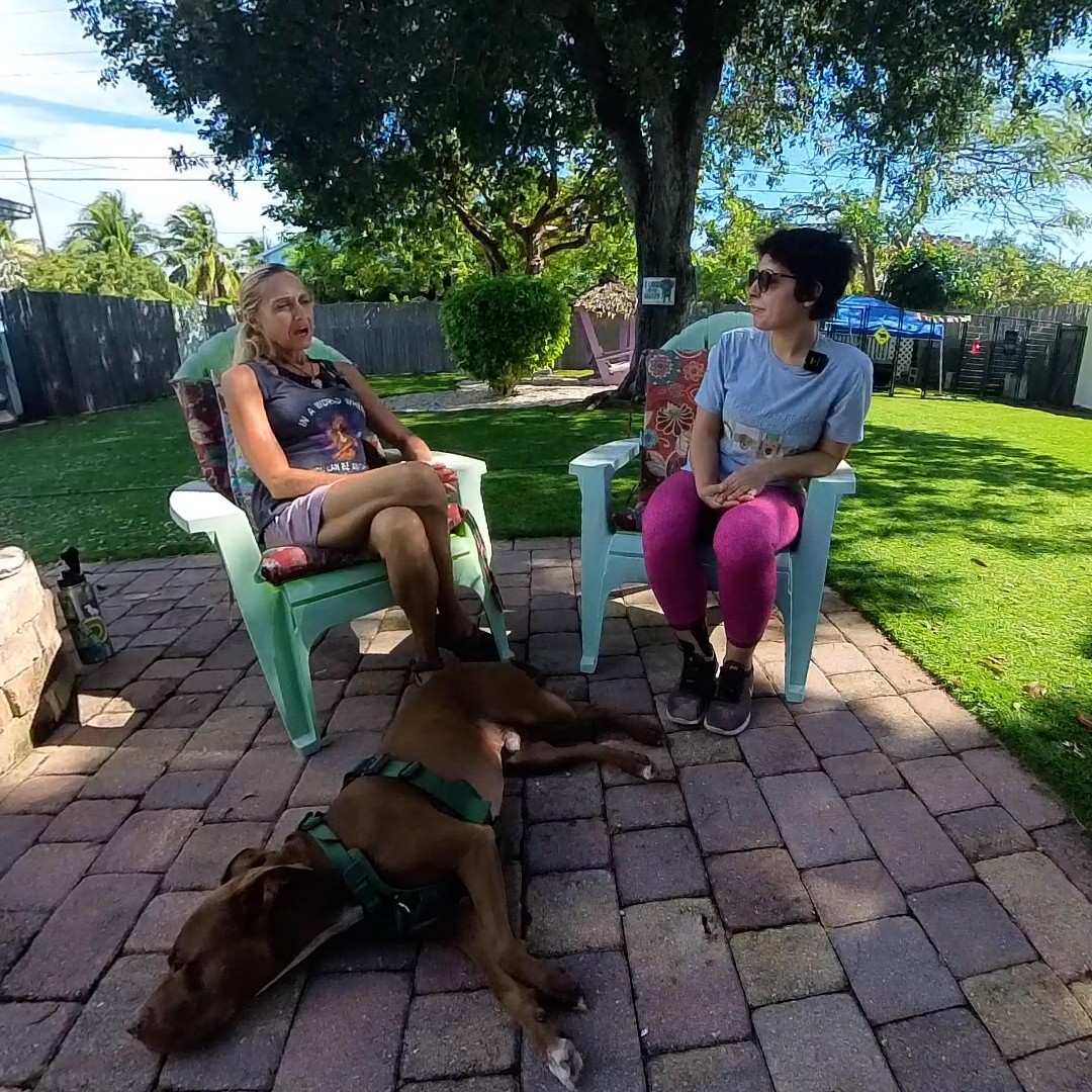 You, Me & the Dogs
