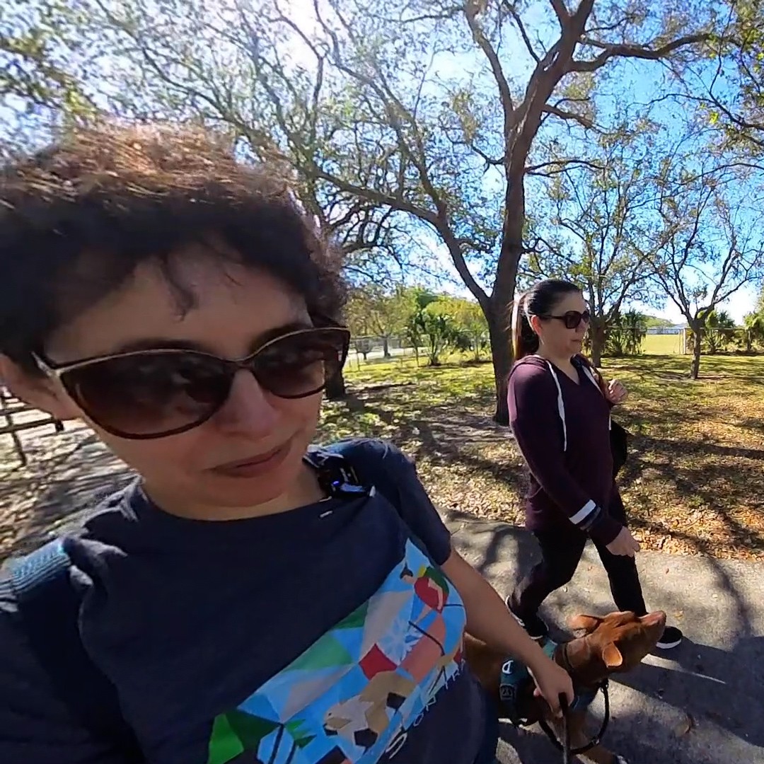 You, Me & the Dogs