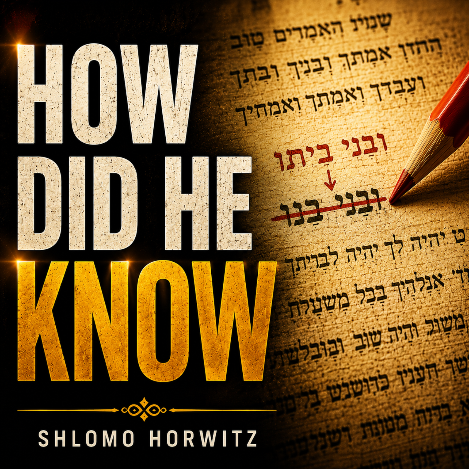 How Did He Know? | Torah Insight episode artwork