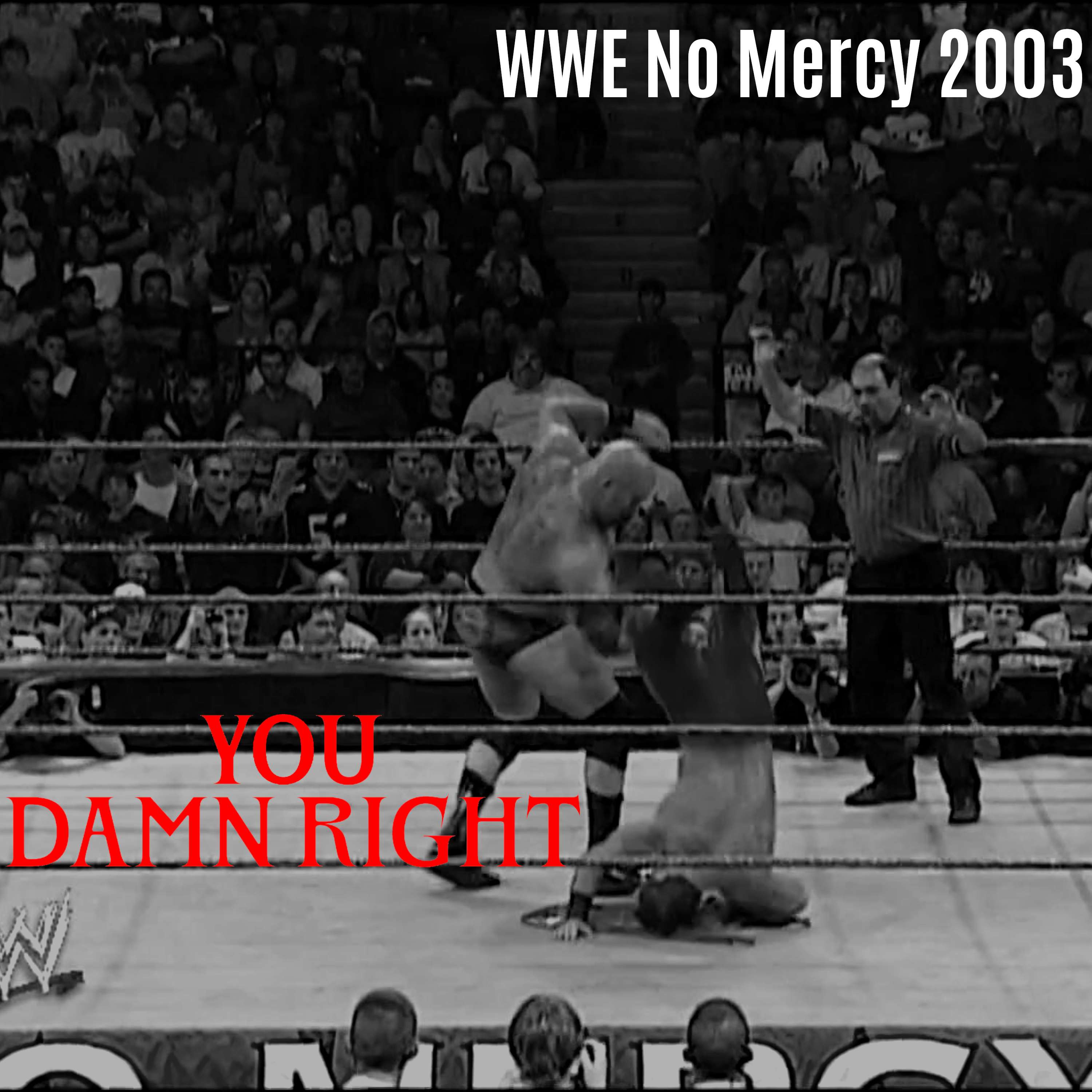 Season 3 Episode 46: WWE No Mercy 2003