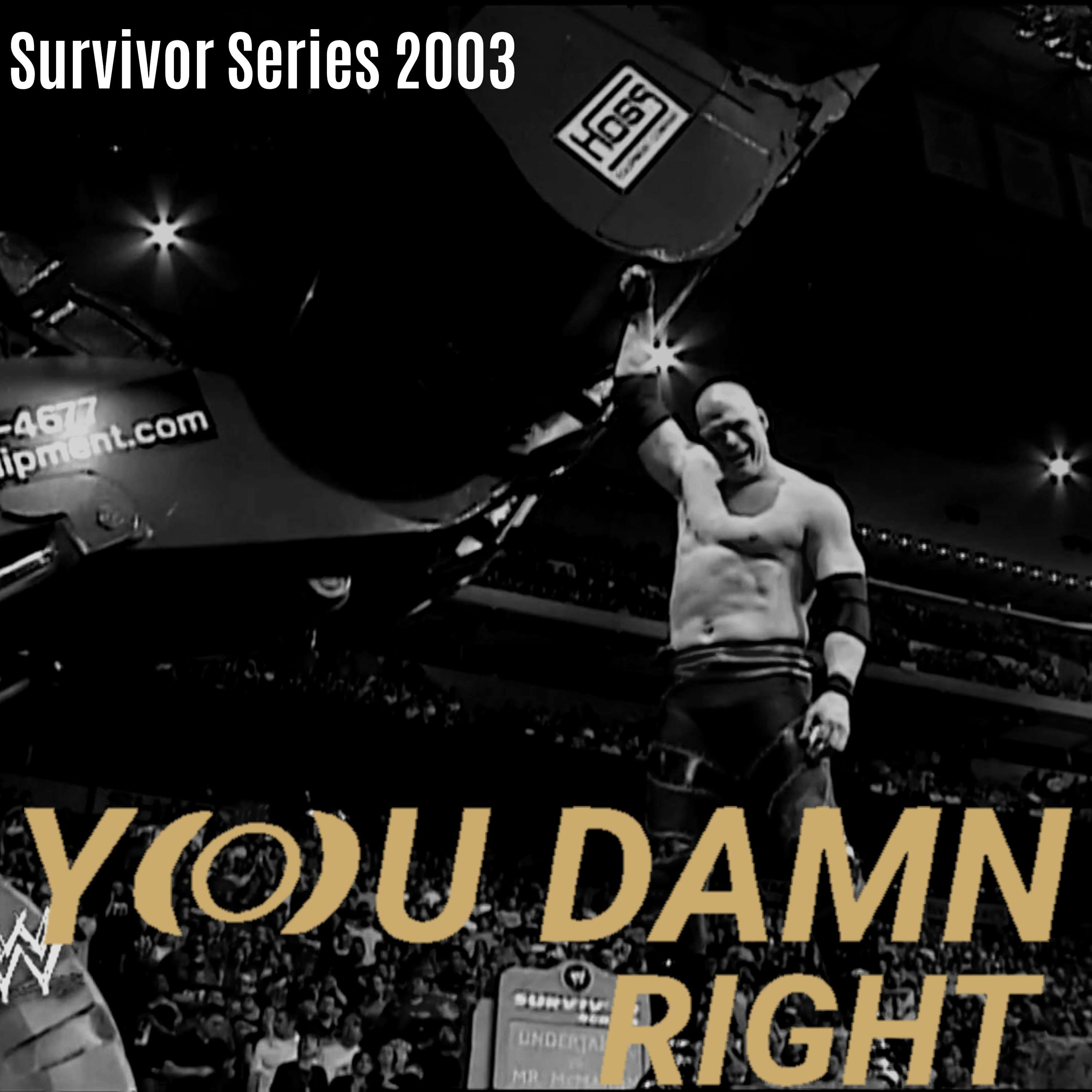 Season 3 Episode 48: WWE Survivor Series 2003