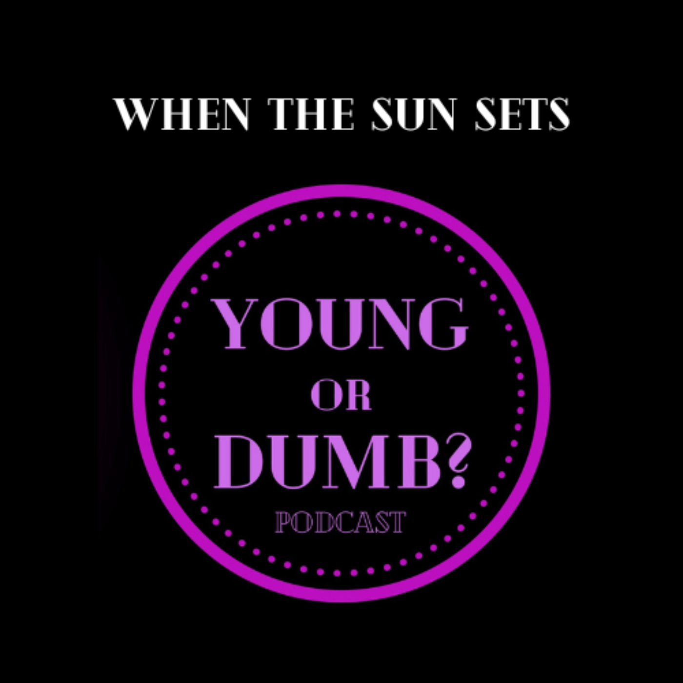 When the Sun Sets- Young Or Dumb Interview