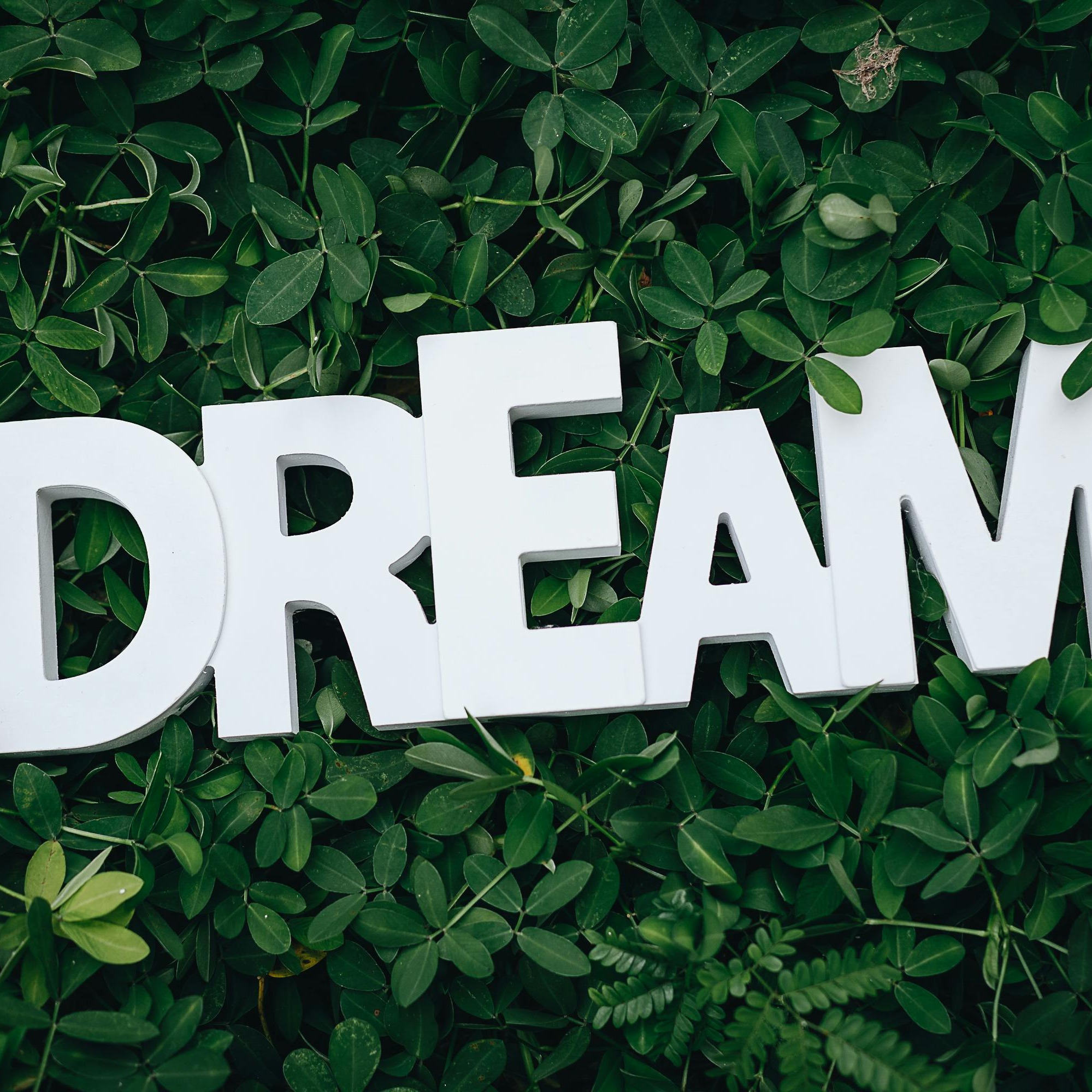 Remedify Coaching Program-tools to help you start your own business