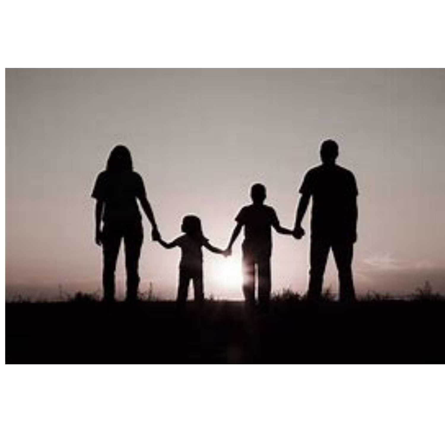 Love:  what really makes a family