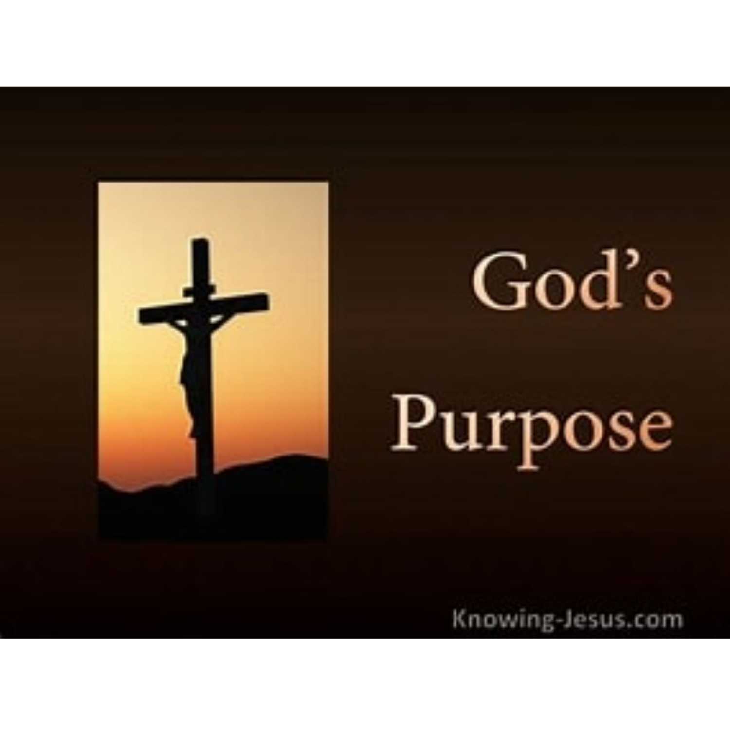 RUNNING in His purpose