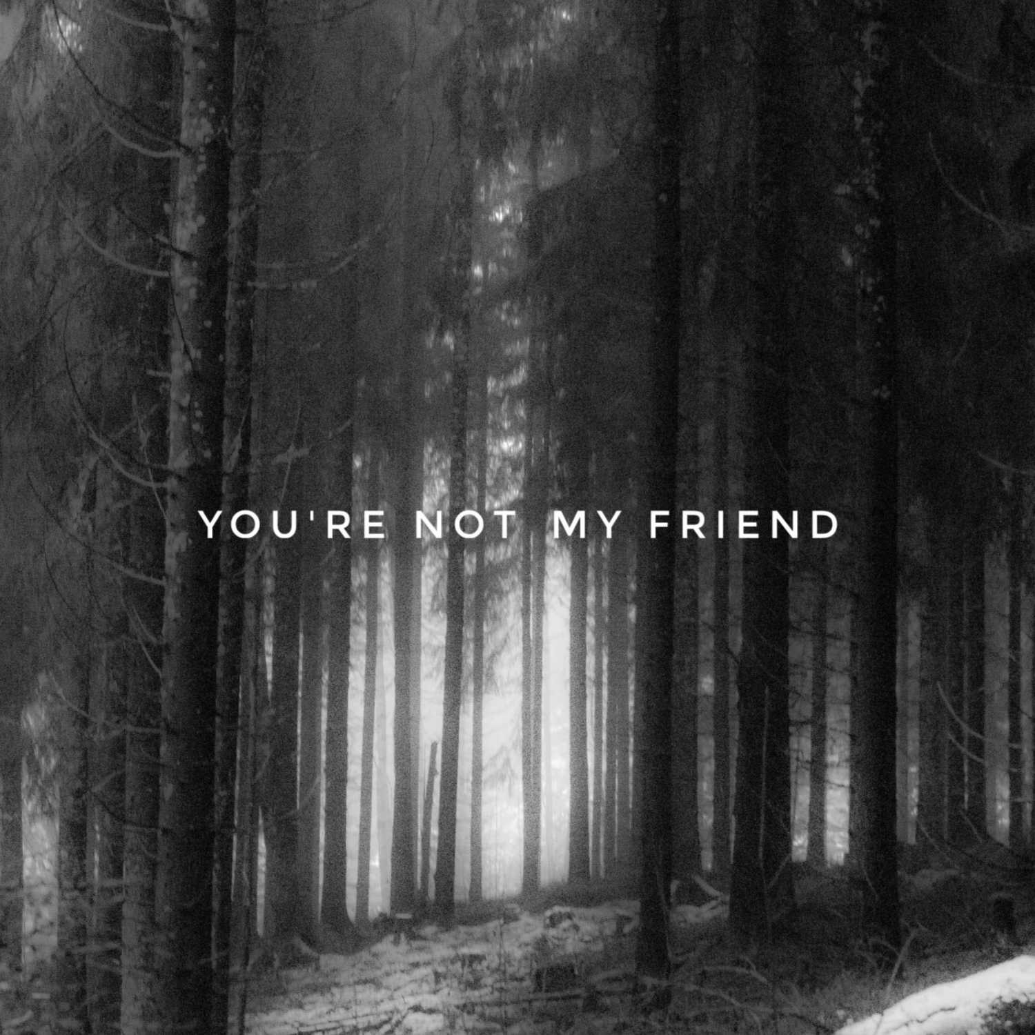 You're Not My Friend