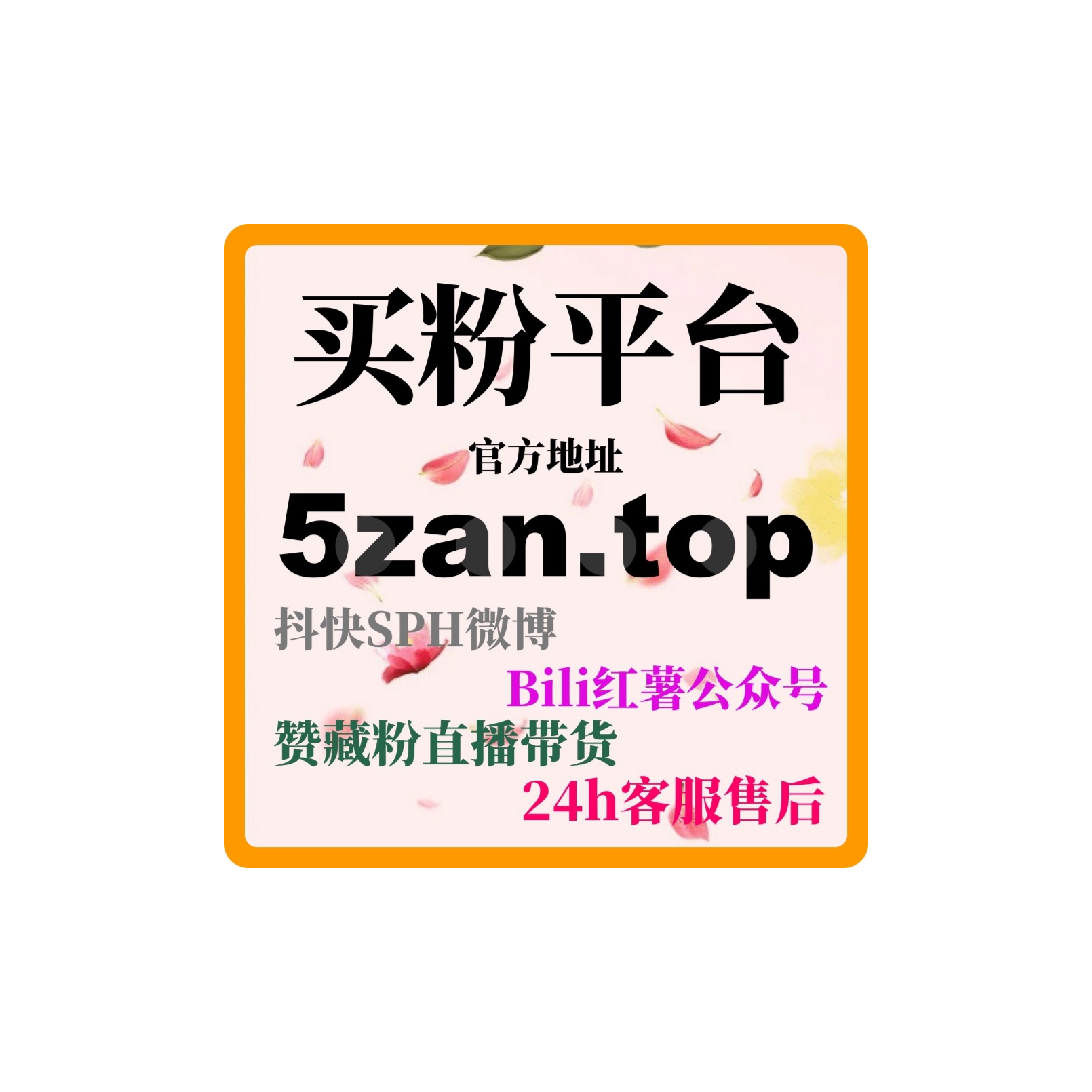 内容创作者如何利用小红书自助涨粉平台增加粉丝，提升创作收入！ episode artwork