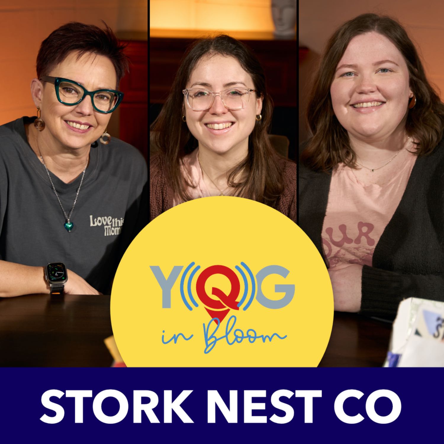 Subscription boxes for moms at Stork Nest Co
