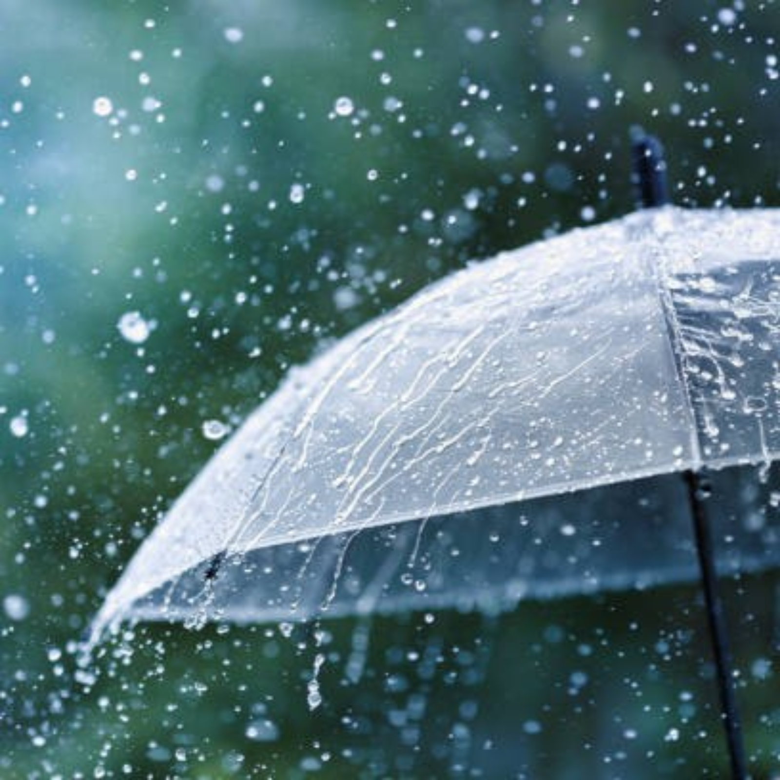 雨天的有声书