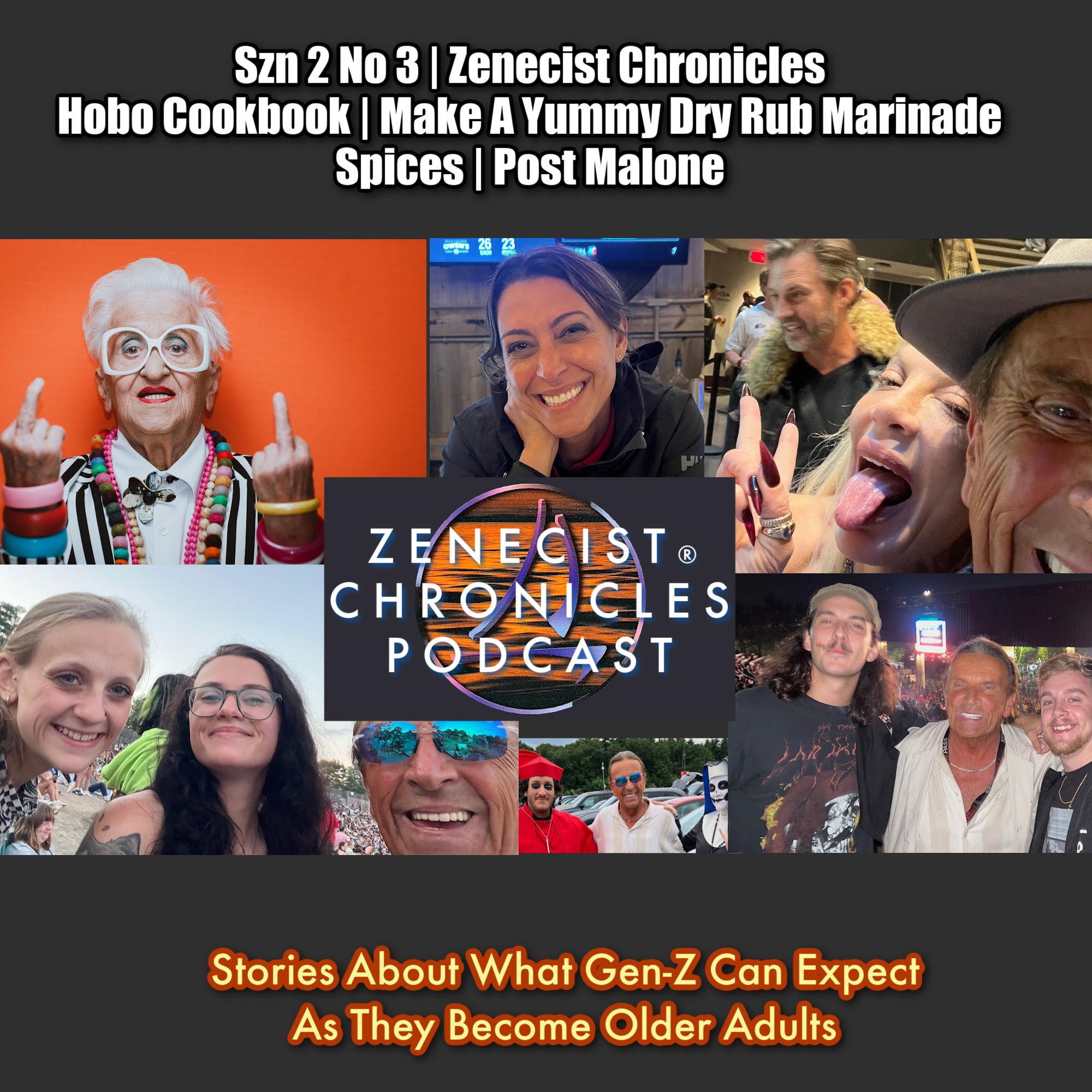 Szn 2 No 3 | Zenecist Chronicles | Hobo Cookbook | Make A Yummy Dry Rub Marinade | Spices | Post Malone
