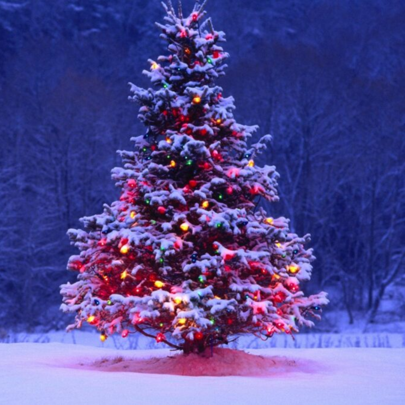 Motivation in Minutes: Christmas Time