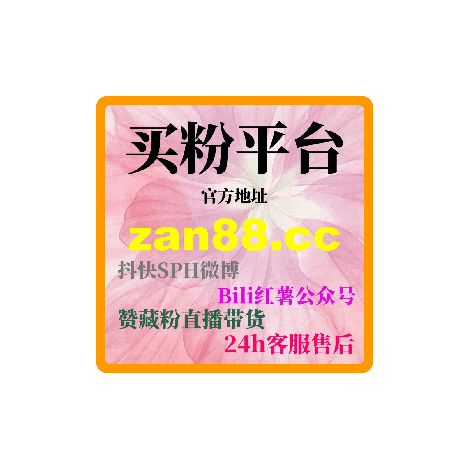 如何通过24小时粉丝增长网提升我作为婚纱摄影师的社交平台影响力？ podcast artwork