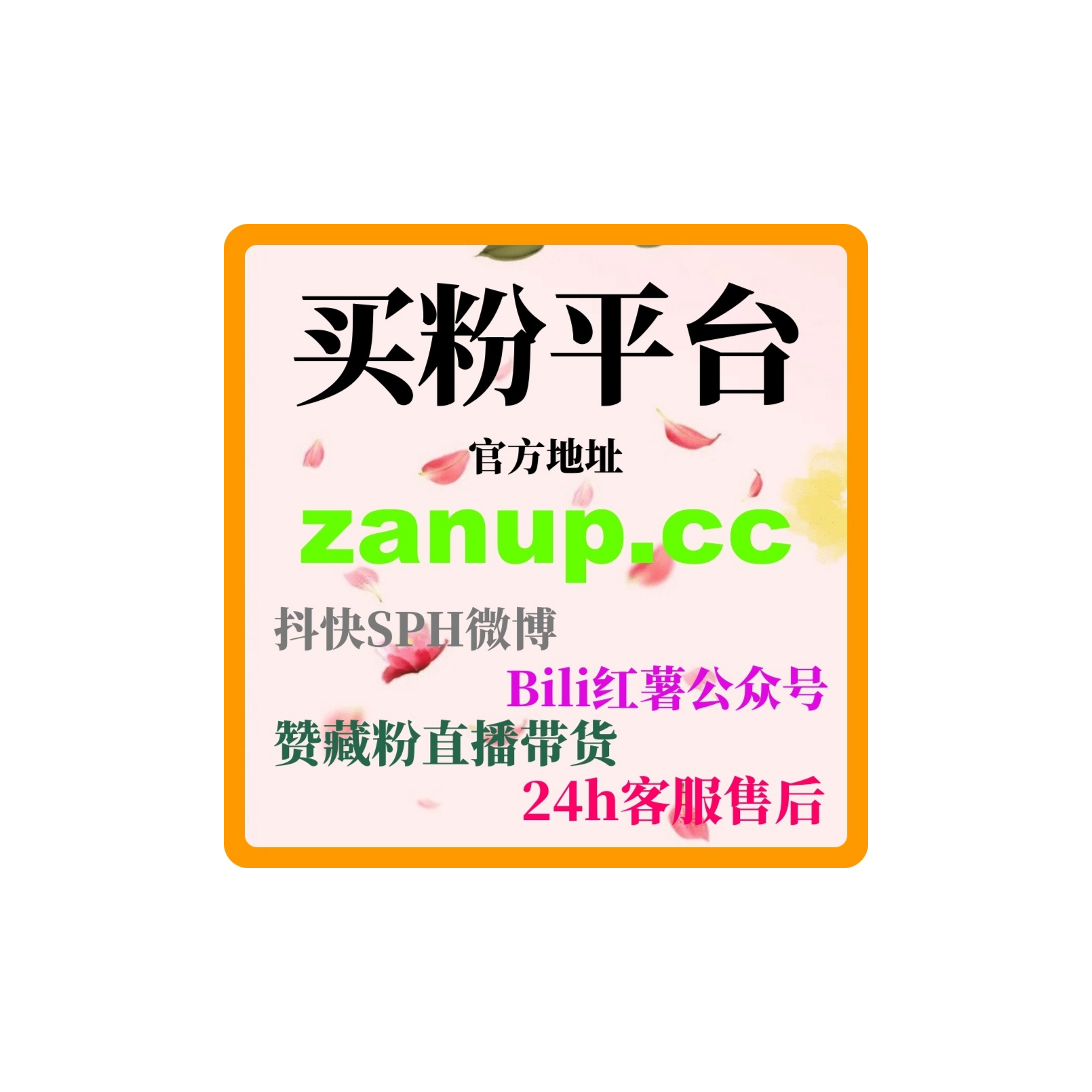 24小时涨粉网：如何通过TikTok播放和点赞提升创意作品曝光量？ episode artwork