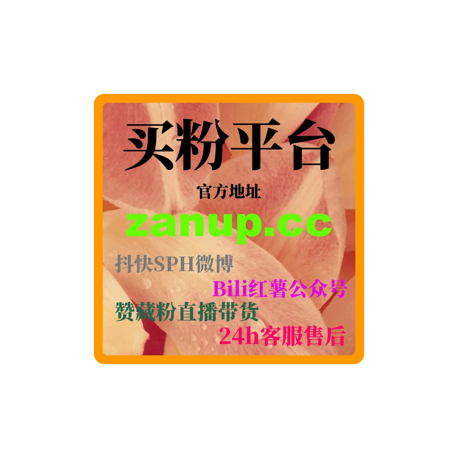 刷数据自助下单网：如何通过B站视频播放提升我的婚礼策划服务曝光？ episode artwork