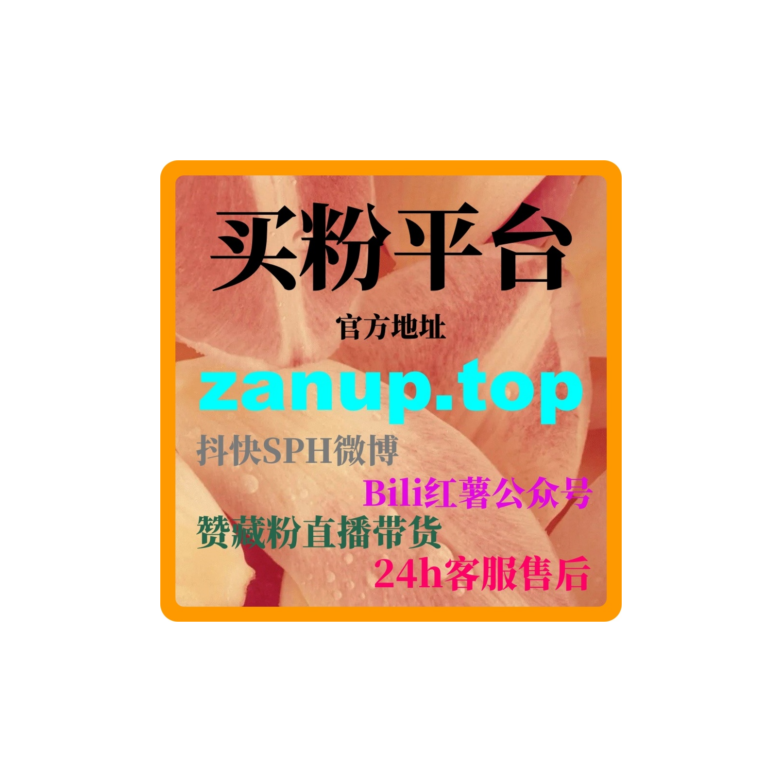 一键刷量涨粉网：怎么通过代刷网提升我的直播曝光率和粉丝关注度？ episode artwork