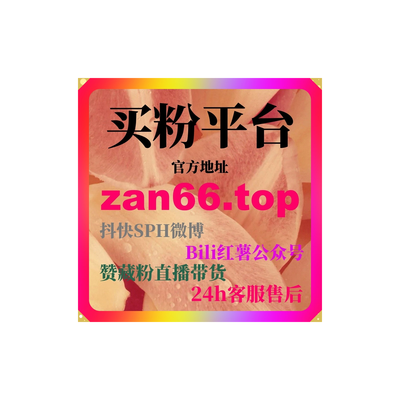 代刷网排行最新指南：视频号推广助手与自助下单体系的增长策略解析