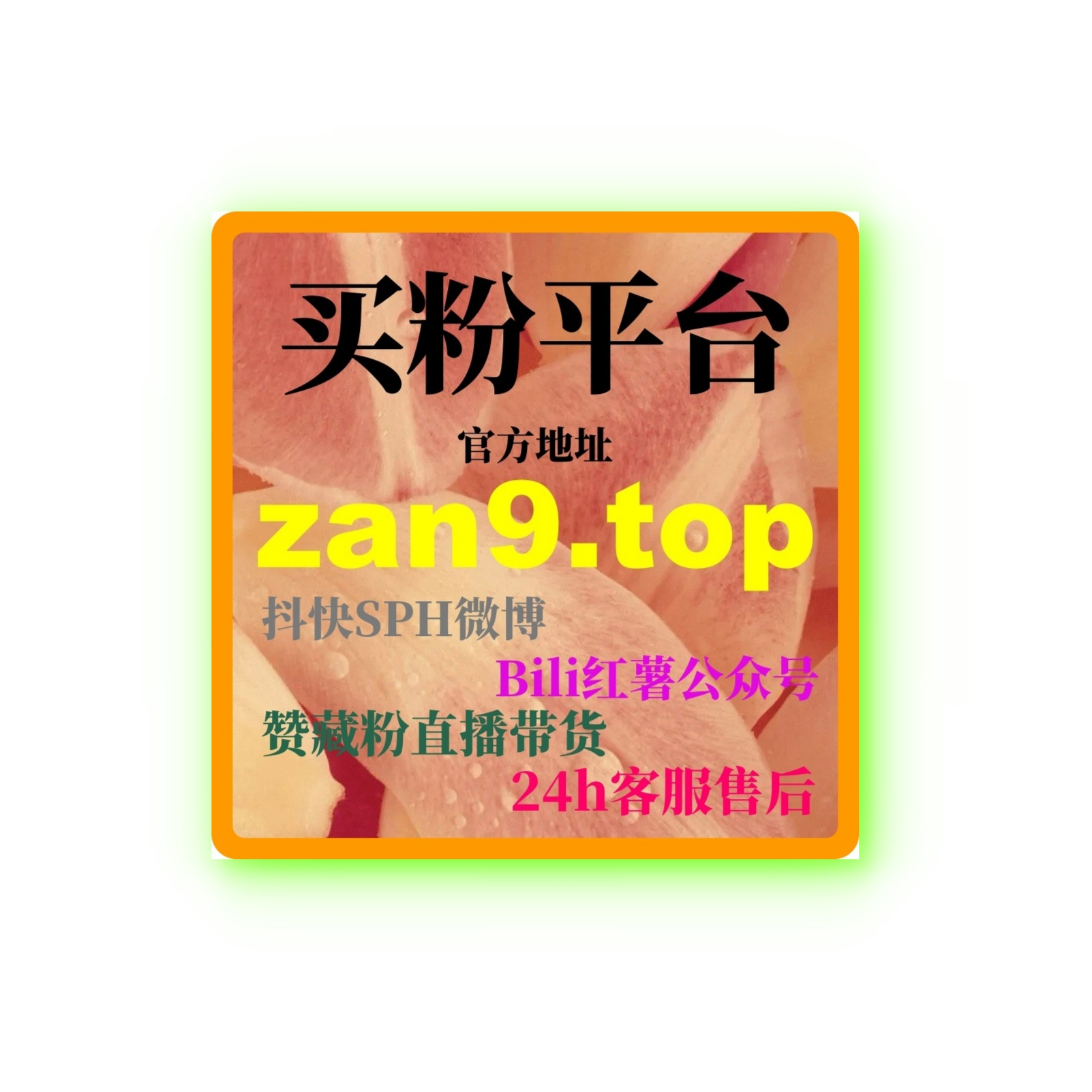 B站流量自助下单：如何去通过精准流量购买提升视频曝光和互动？ episode artwork
