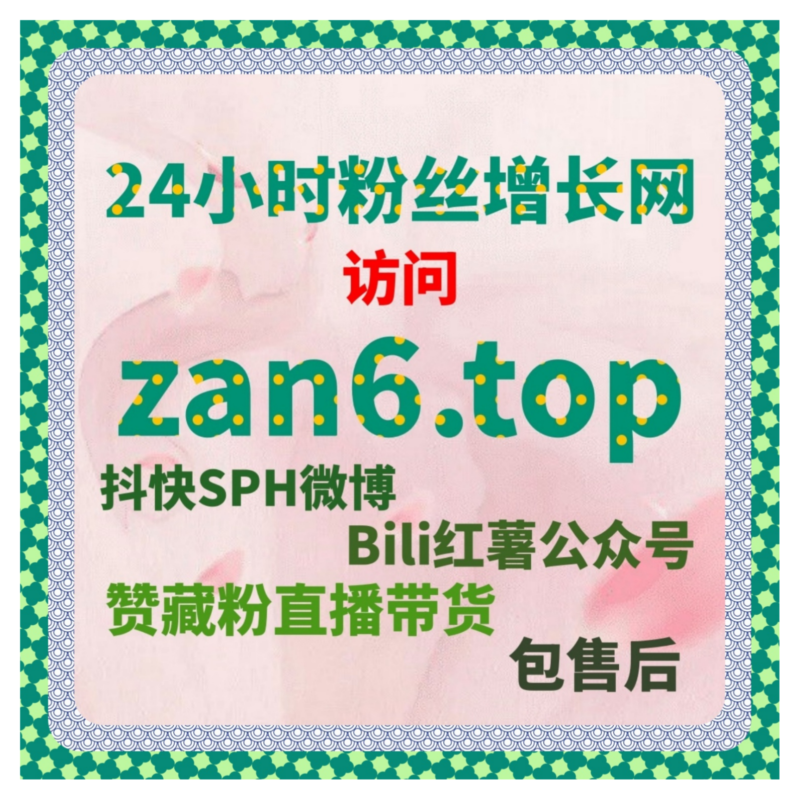 流量提升策略解析，B站千粉让视频互动量和粉丝增长更加高效稳定 episode artwork