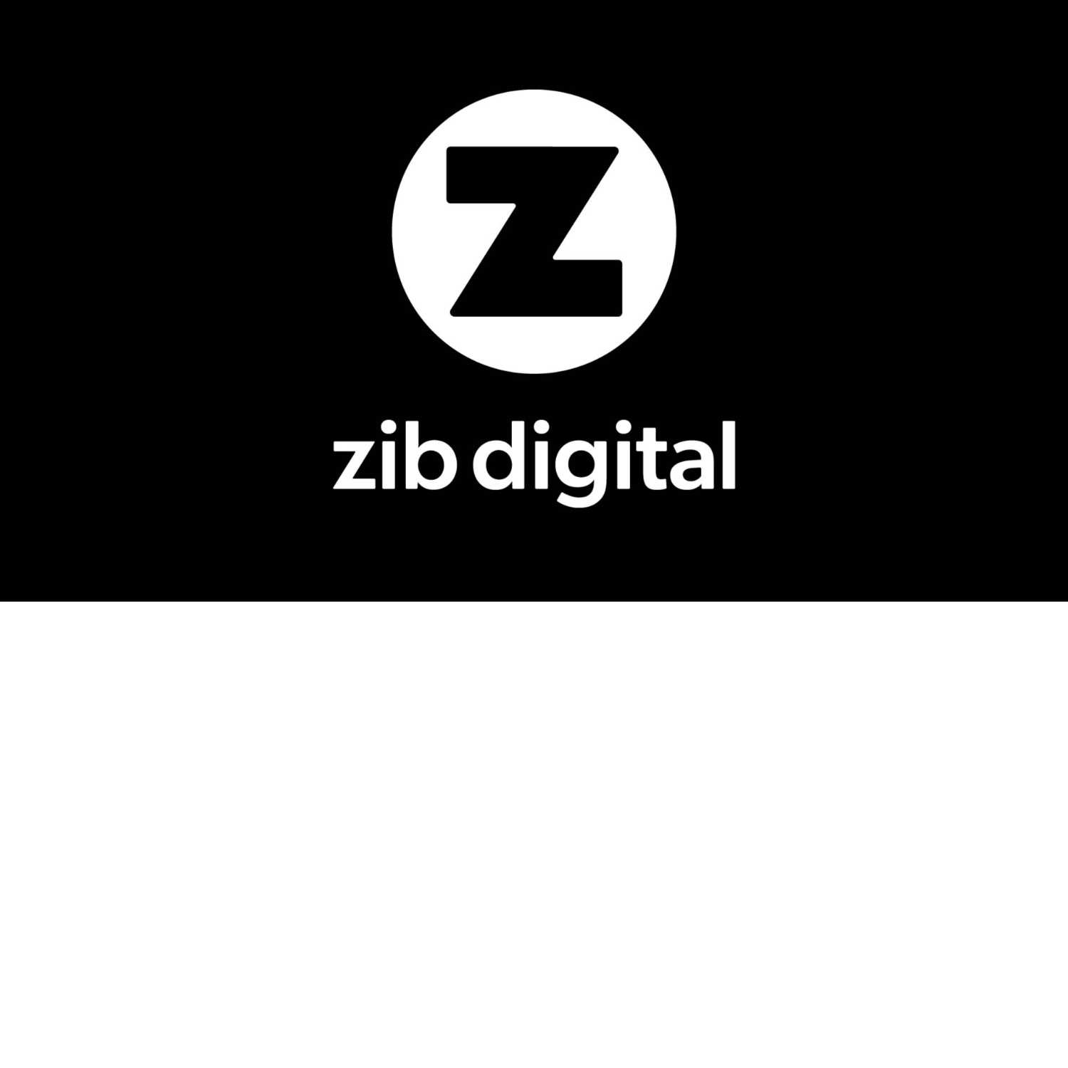 Zib Digital India - Social Media Marketing Agency podcast artwork