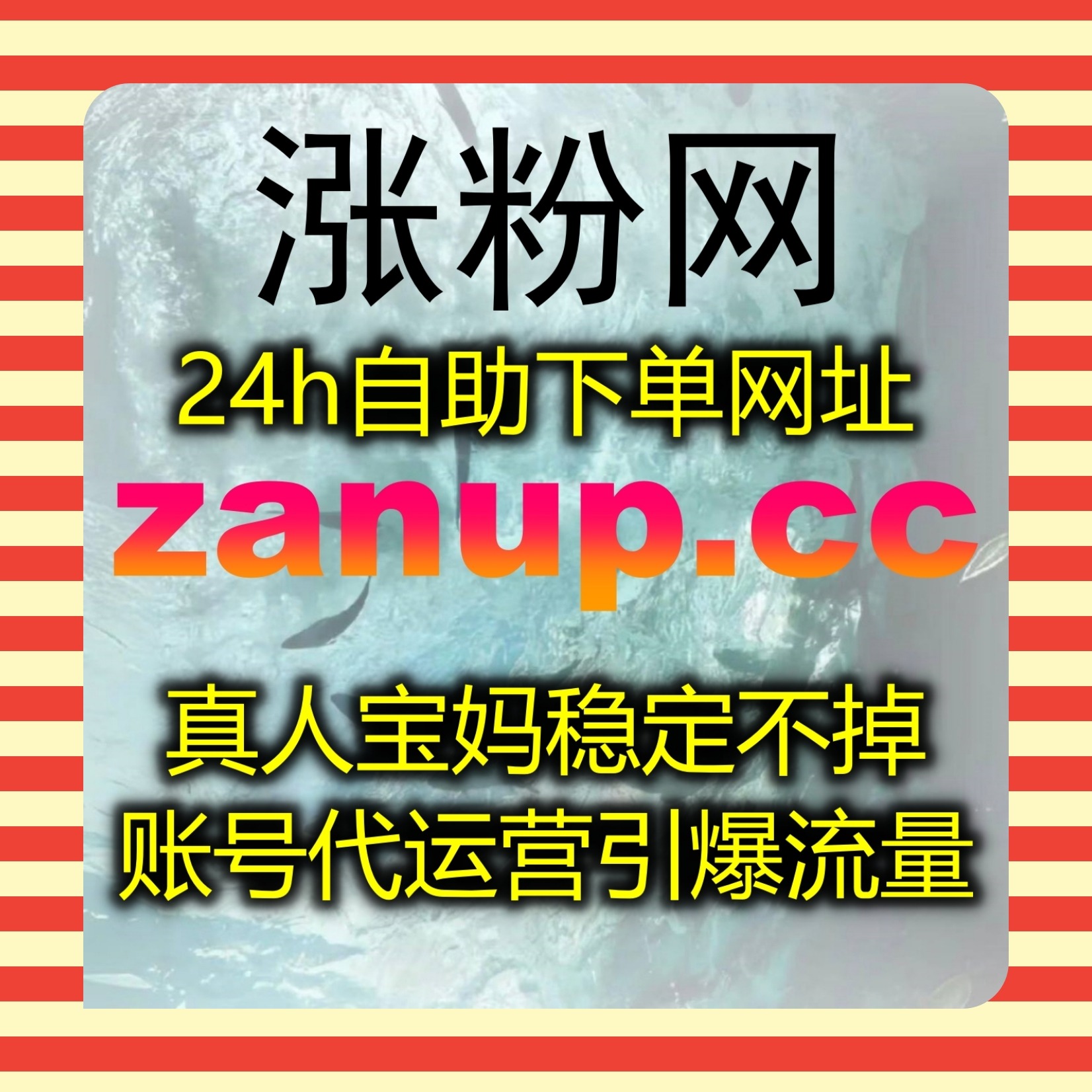 深耕汽车垂类精细赛道，流量提升塑造易车网口碑阅读专业数据优势 episode artwork