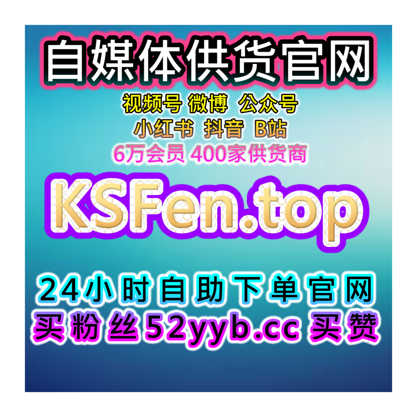 自助购买数据服务：提升B站平台粉丝数与互动数据和点赞、评论提高方案 episode artwork
