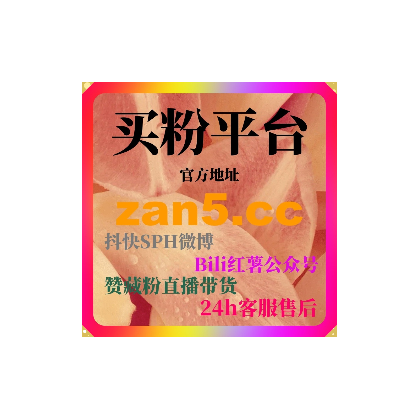 自动刷粉平台|B站评测类创作者如何通过体系化脚本提升观看深度？ episode artwork