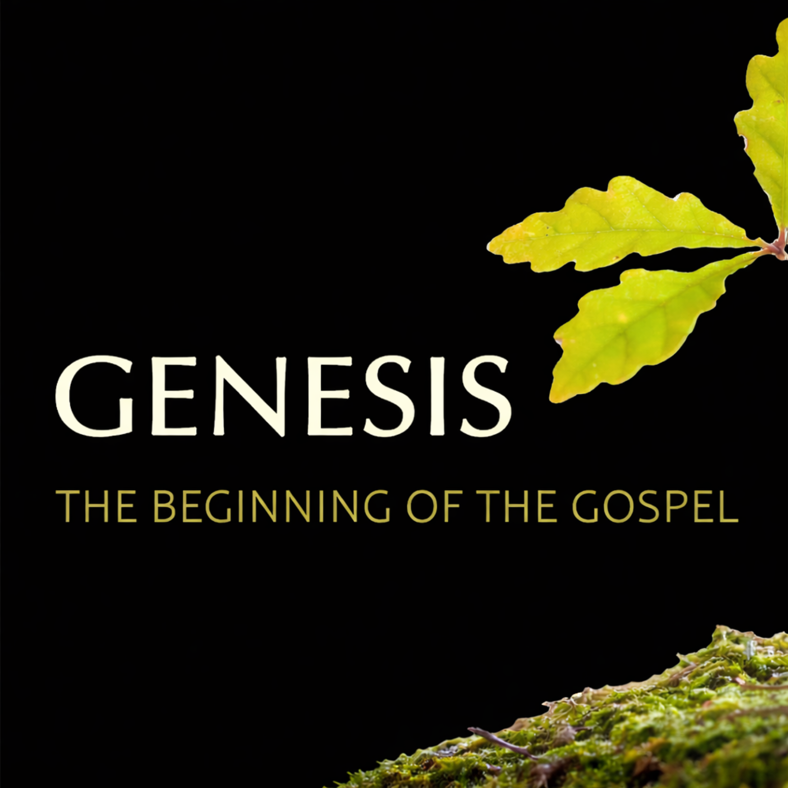 The God Who Awakens the Conscience | Genesis 42-44 episode artwork