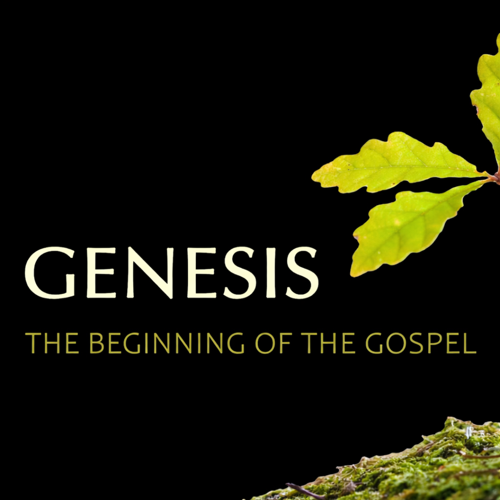 The God Who Helps Us Grieve | Genesis 49:28-50:14 episode artwork