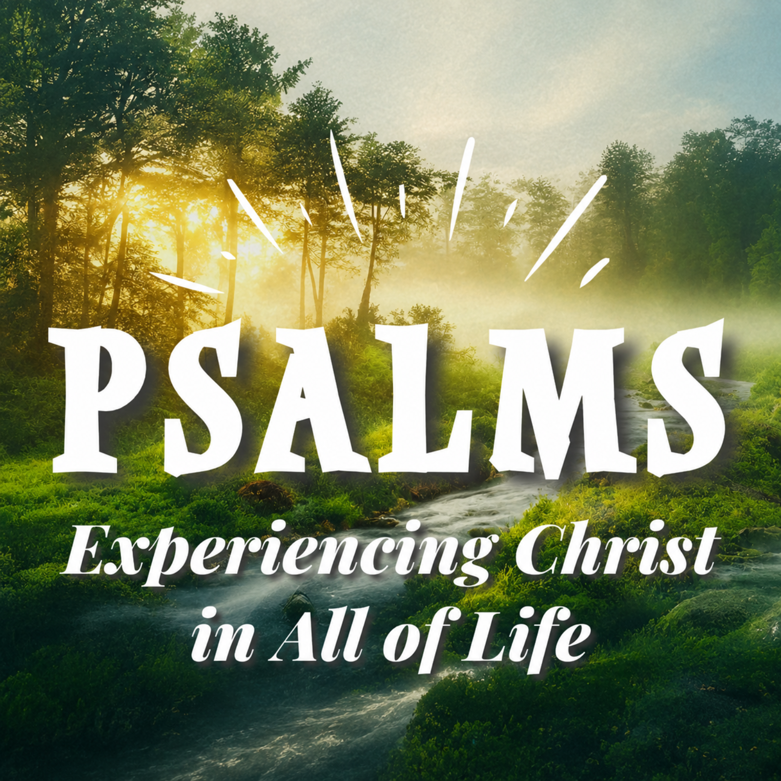 A Psalm for Generational Discipleship (2) | Psalm 78:1-8 episode artwork
