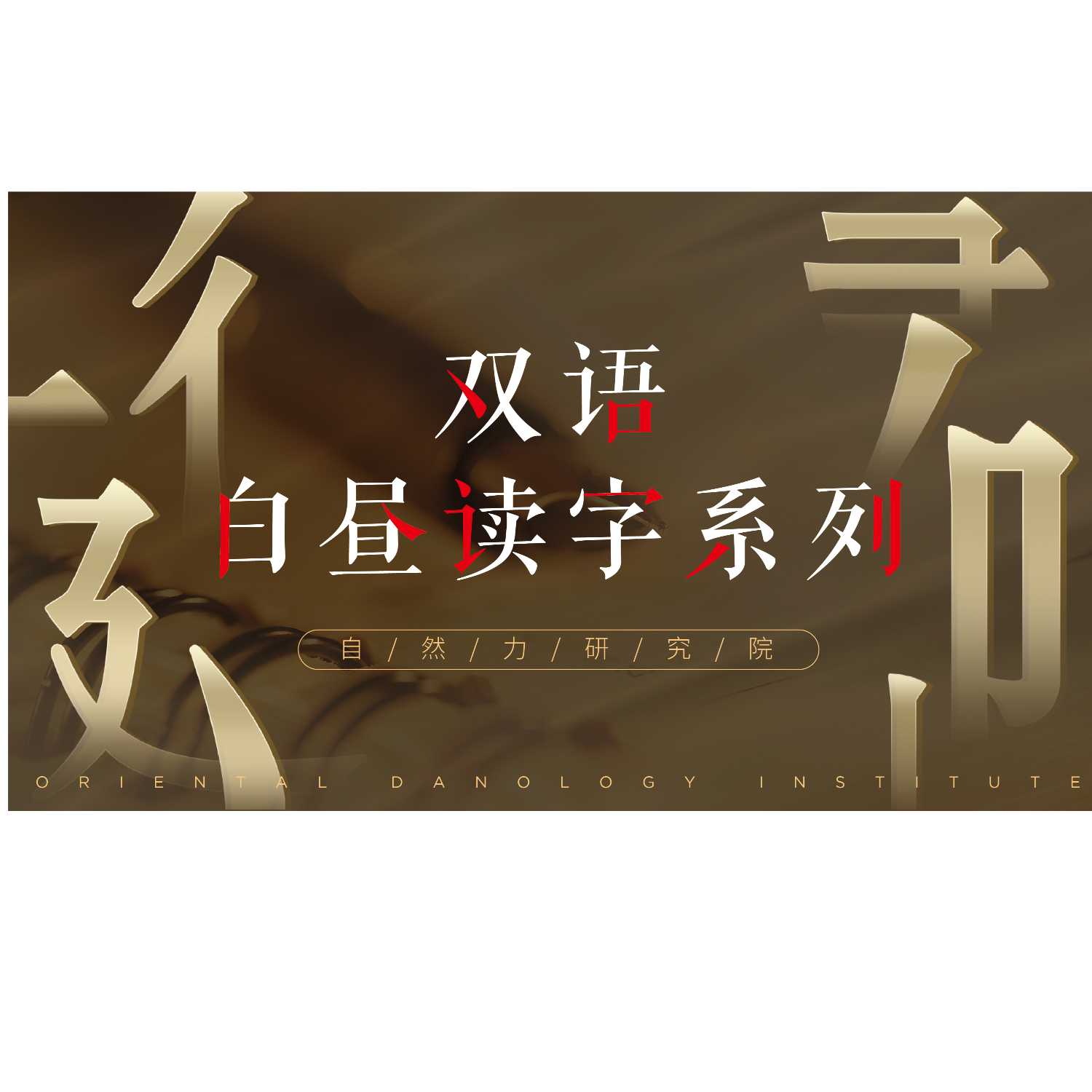 白昼读书 cover art