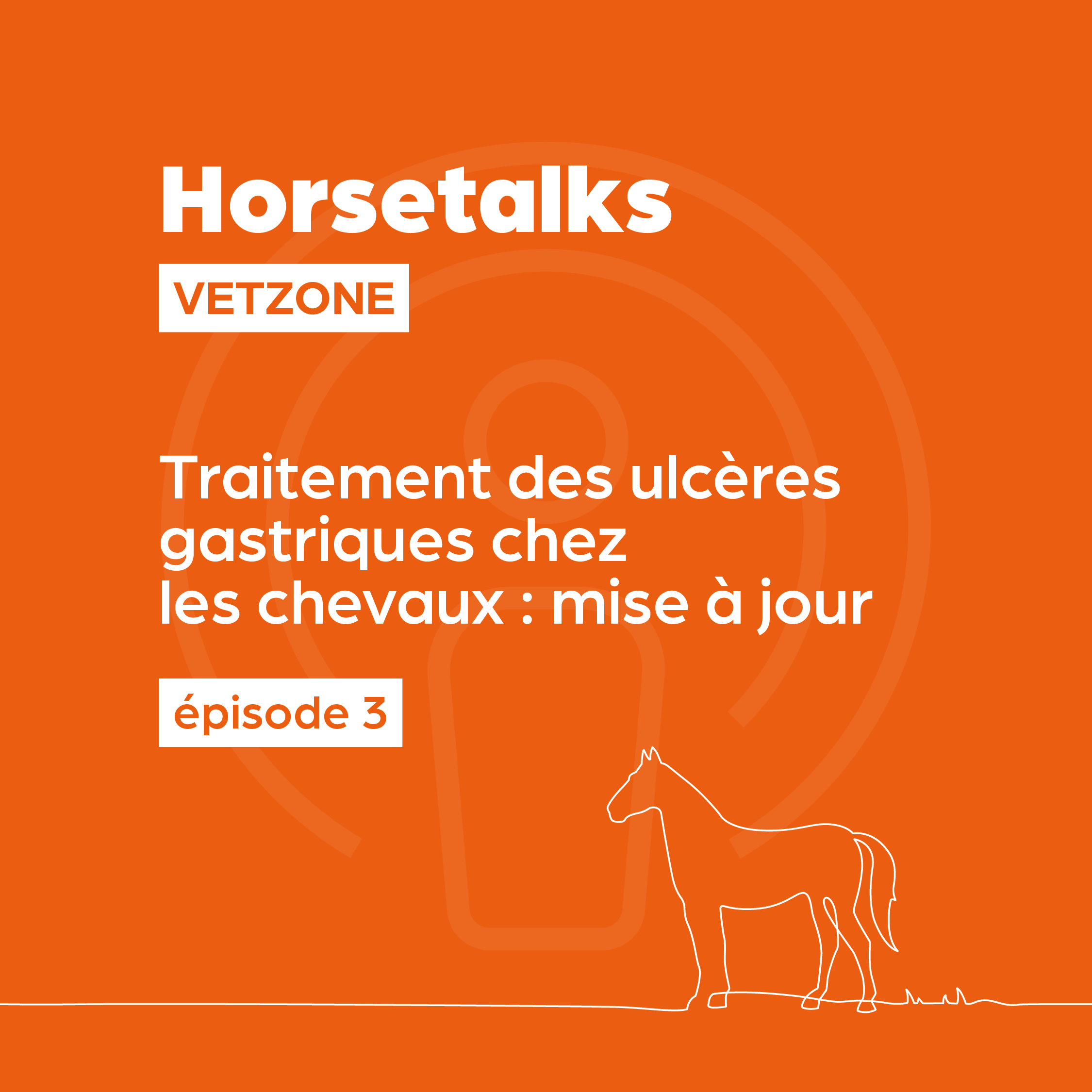 Horsetalks Vetzone — 003 — Traitement des ulcères gastriques chez les chevaux : mise à jour (BE-FR) episode artwork